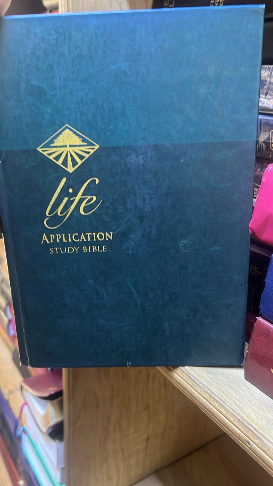 Life application study Bible