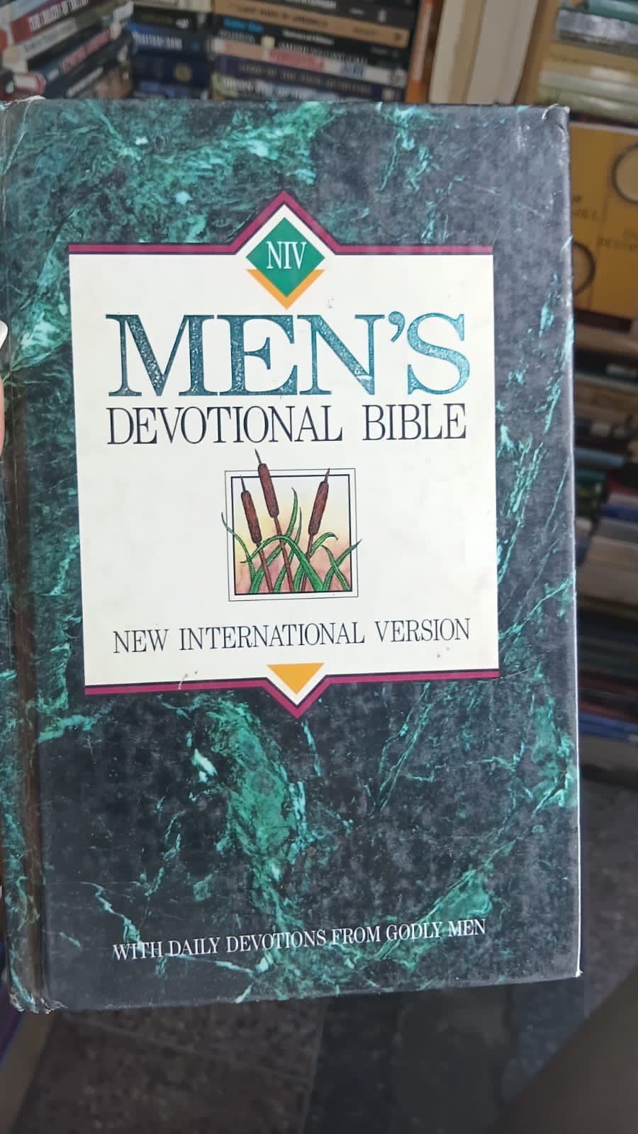 NIV Mens Devotional Bible