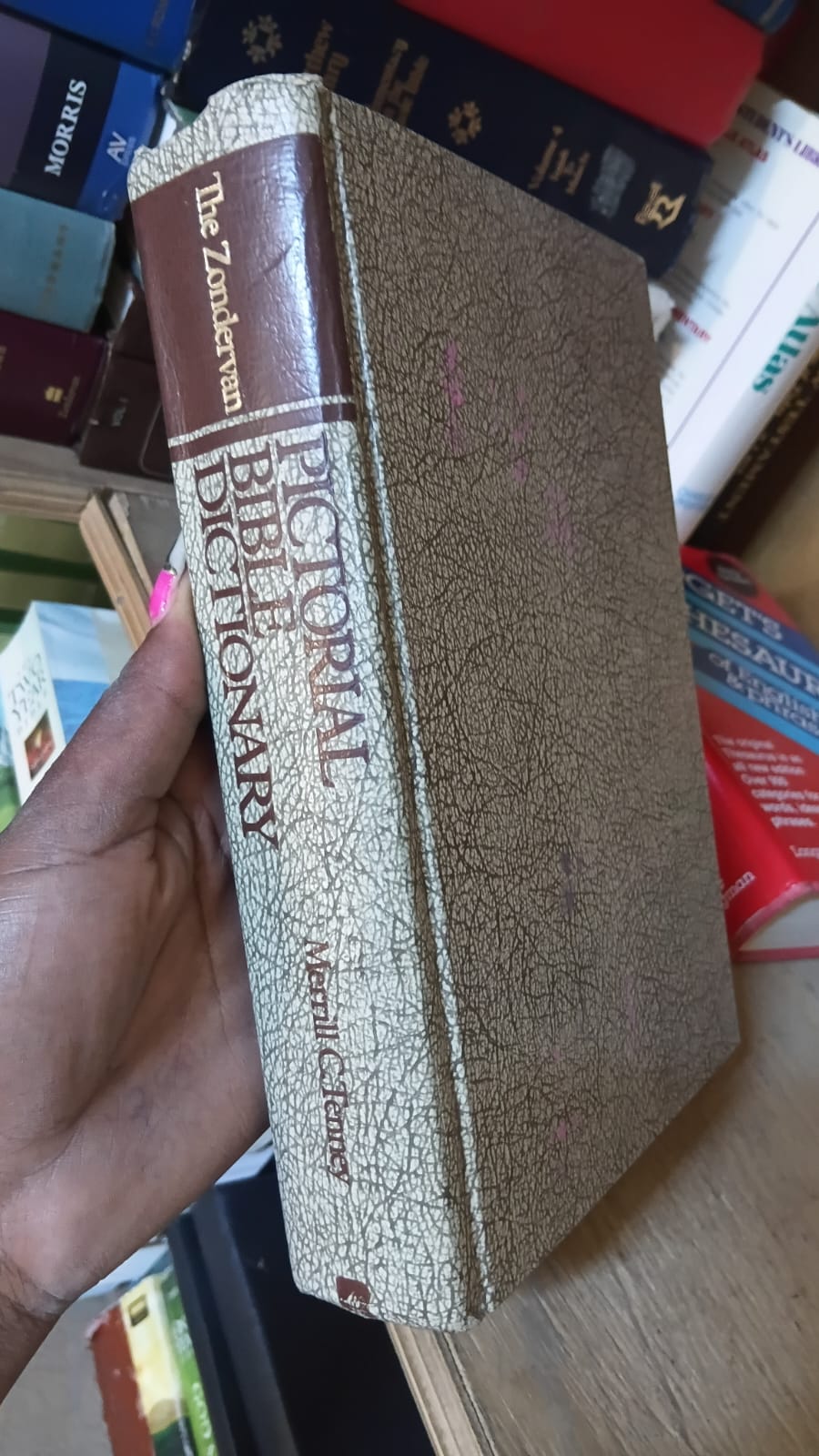 Pictorial Bible Dictionary