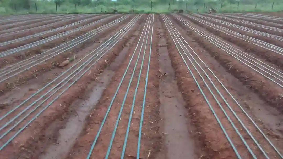 Drip tape 1000mtrs double emitters