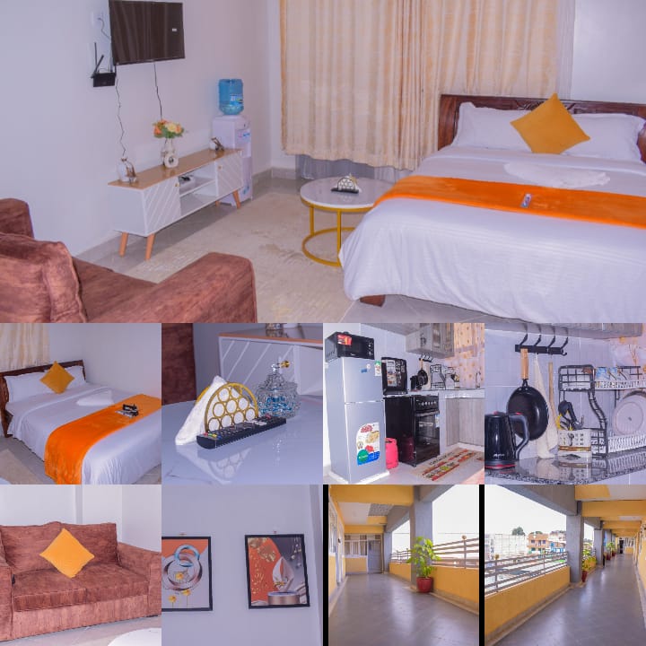 Executive Airbnb unit in meru