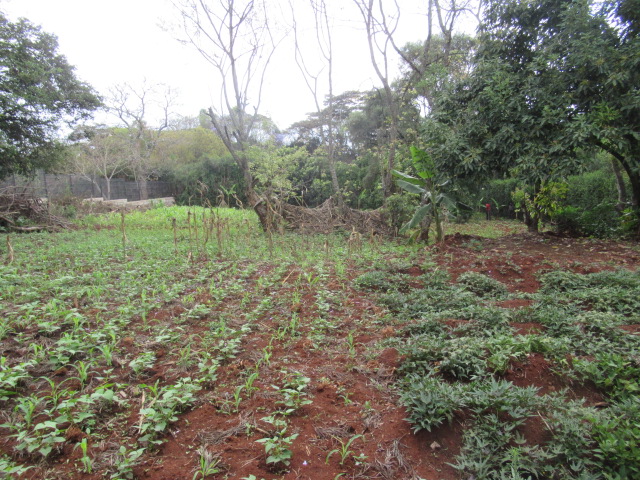 0.5-Acre Plot For Sale in a Gated Community in Karen Hardy