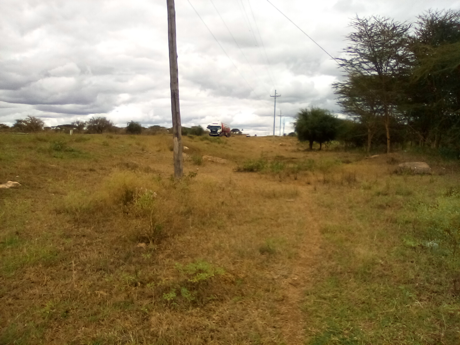 13 Acres of Land For Sale in Ngatataek