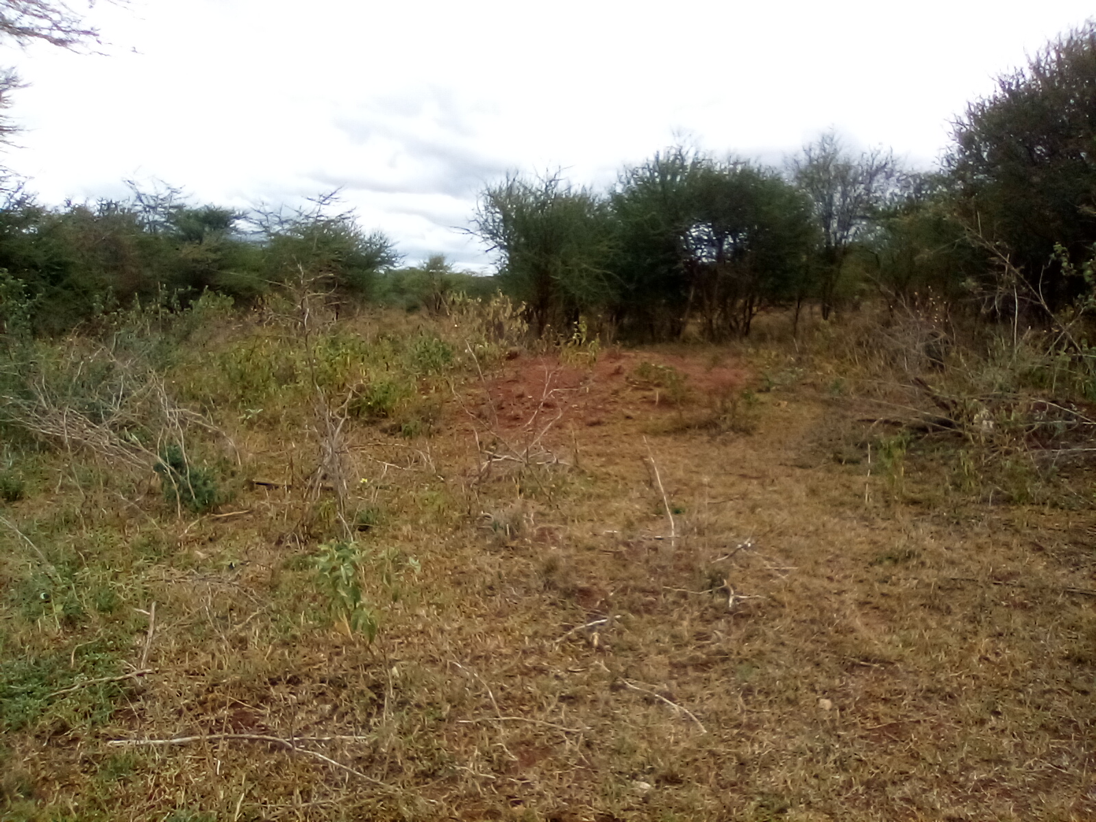 13 Acres of Land For Sale in Ngatataek