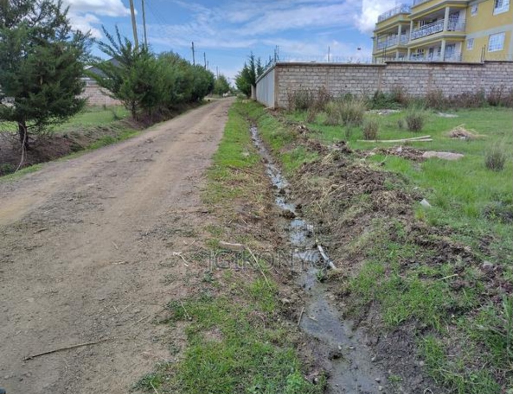 Plots for Sale- Nanyuki Quarter-acre (2 plots)
