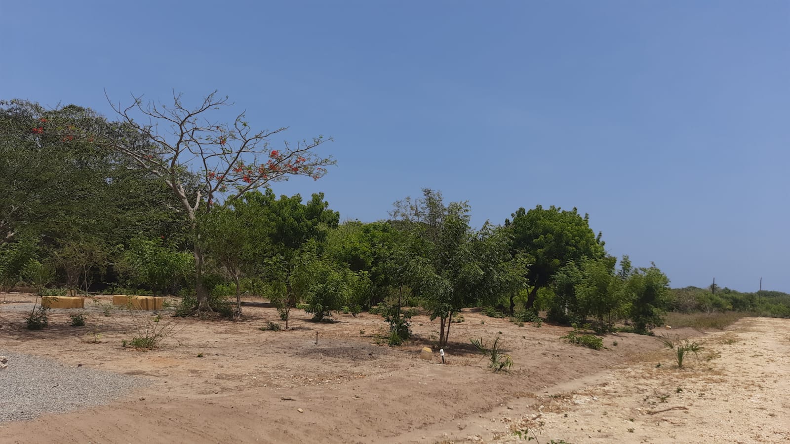 1/4 and 1/2 Acre Plots for Sale in Vipingo Kuruwitu