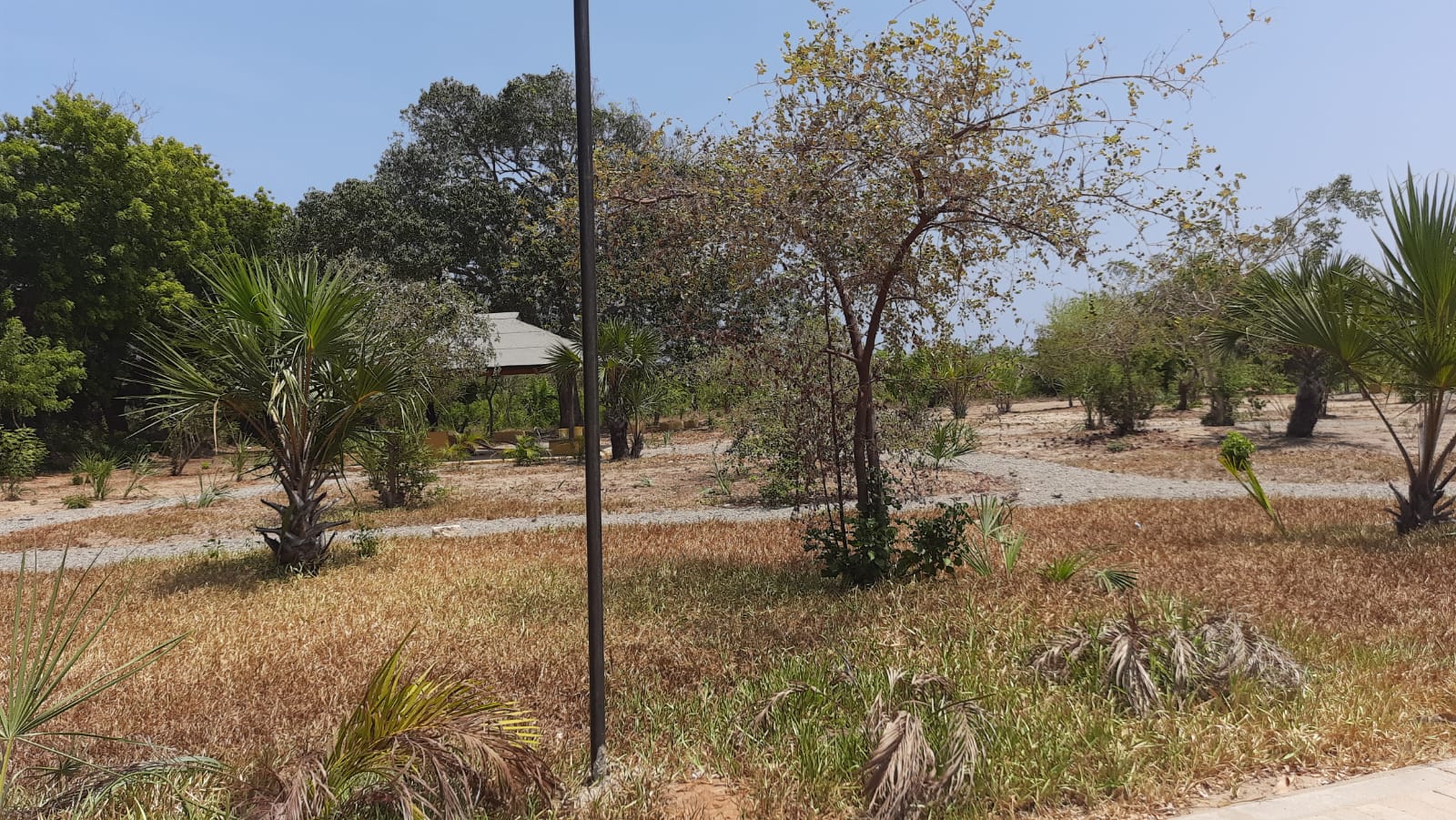 1/4 and 1/2 Acre Plots for Sale in Vipingo Kuruwitu