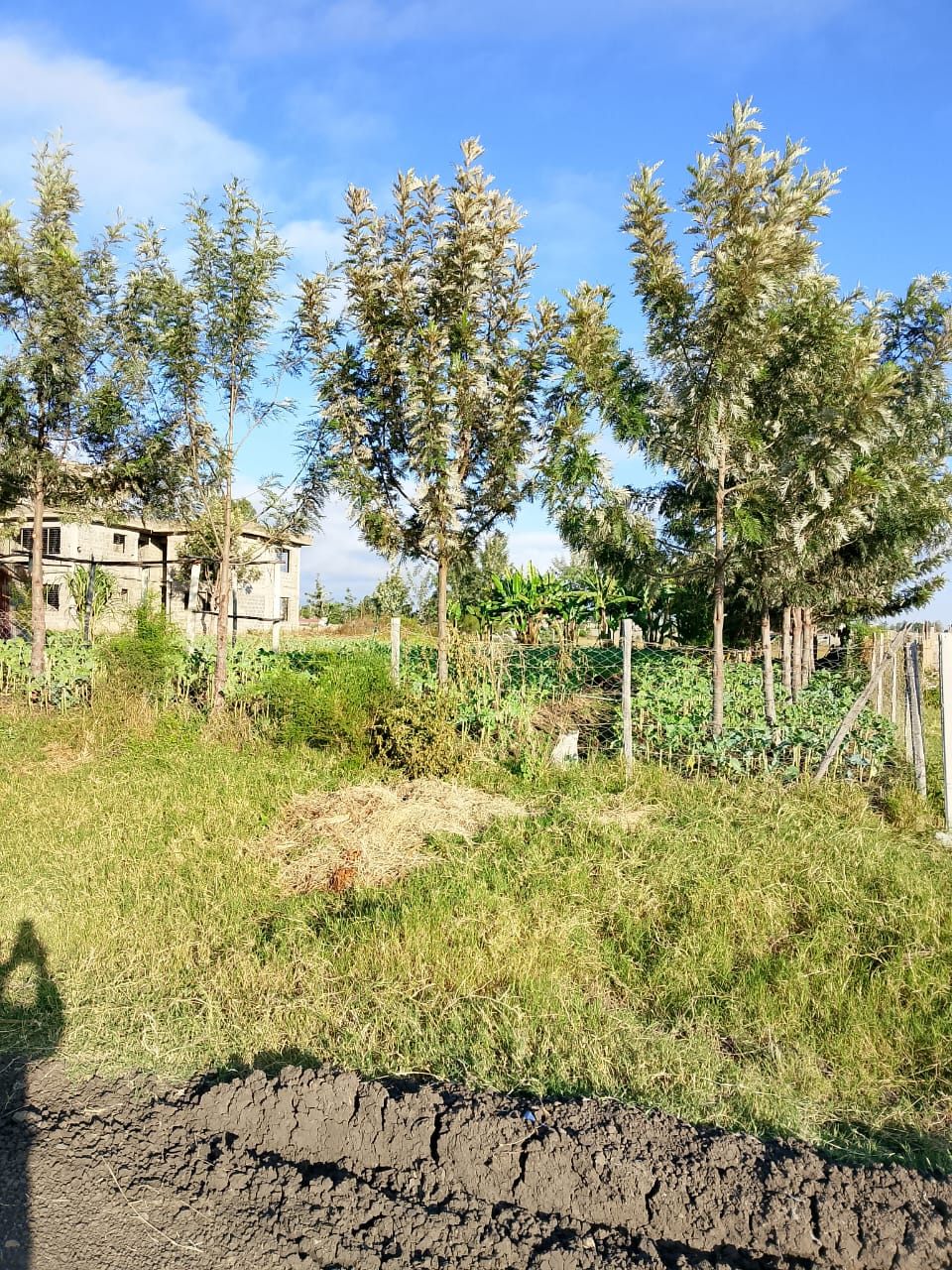 40 by 150 Plot for Sale at Mwihoko