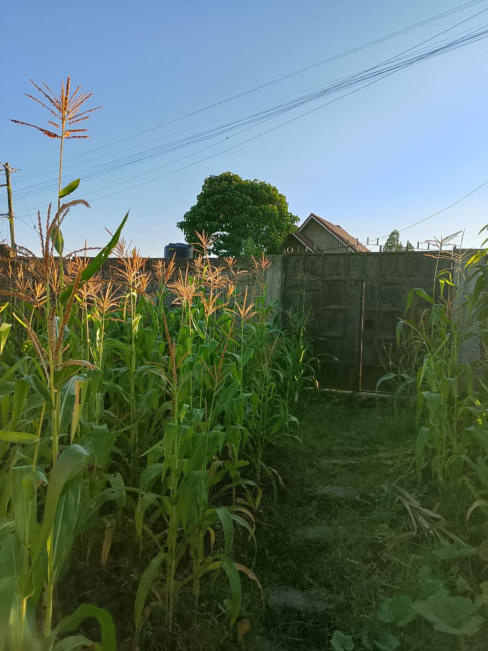 3bedroom House in Githurai for sale