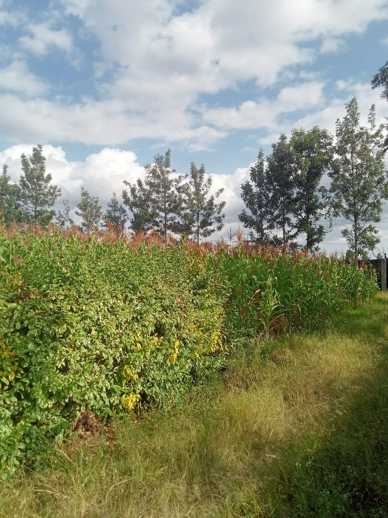 4bdrm Maisonette in Githurai for sale