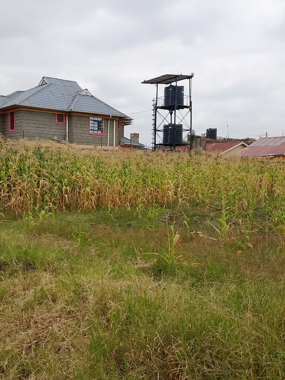 50*100 Plot for Sale in Mwihoko
