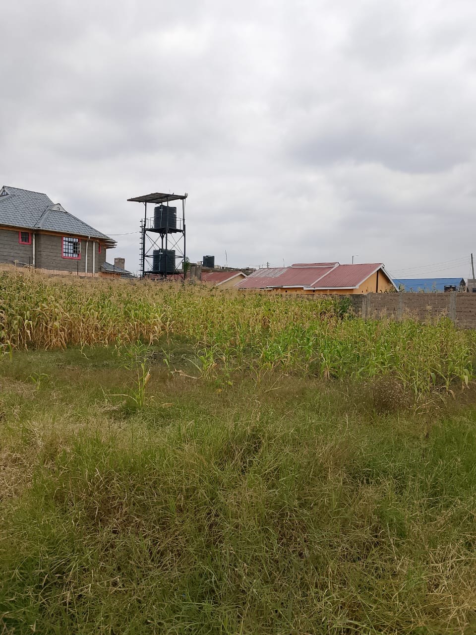 50*100 Plot for Sale in Mwihoko