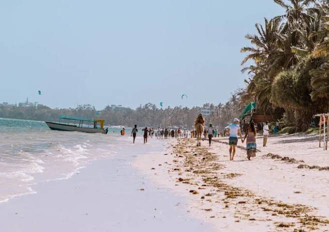 Tours & travel