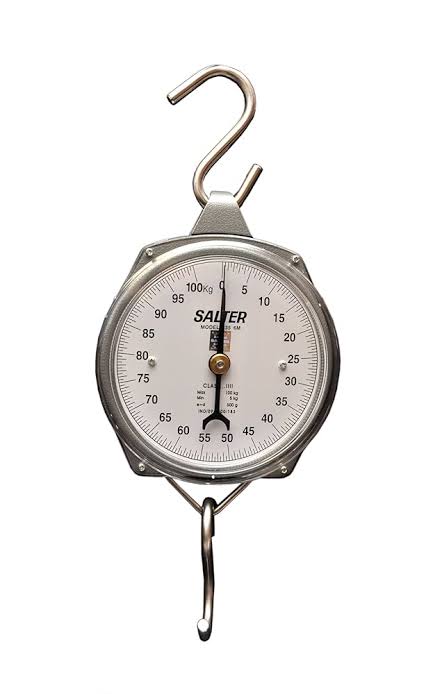 Salter hanging scale