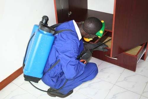 Pest control and fumigation